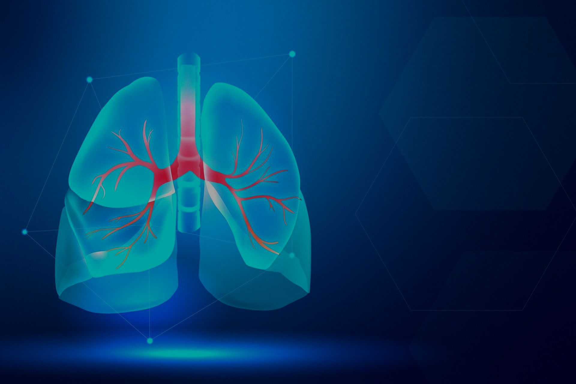 A picture of lungs.
