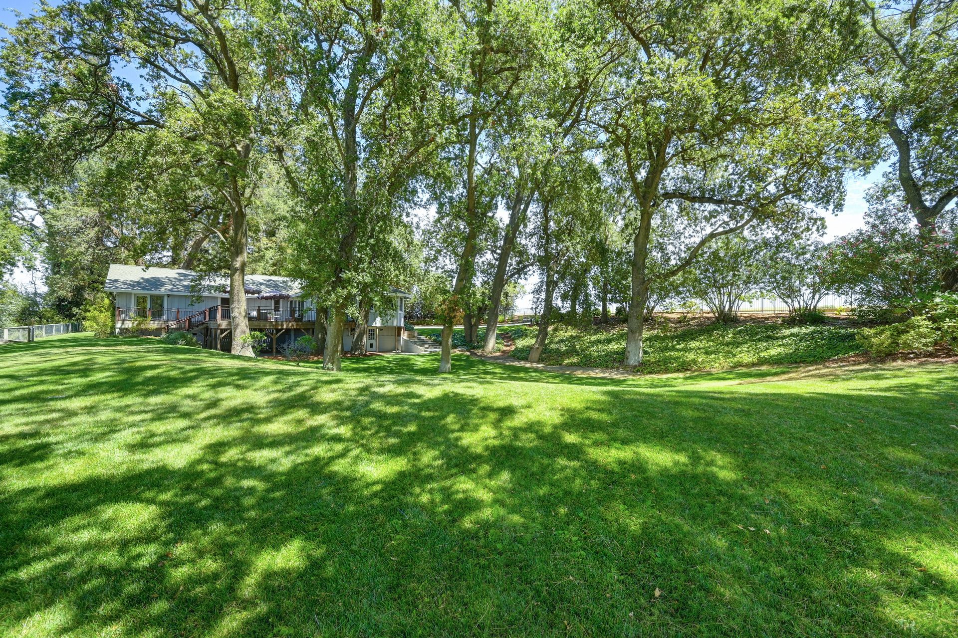 Lush, green backyard with ample shade from mature trees. Browse homes for sale in East Sacramento, CA, with Rich Cazneaux.