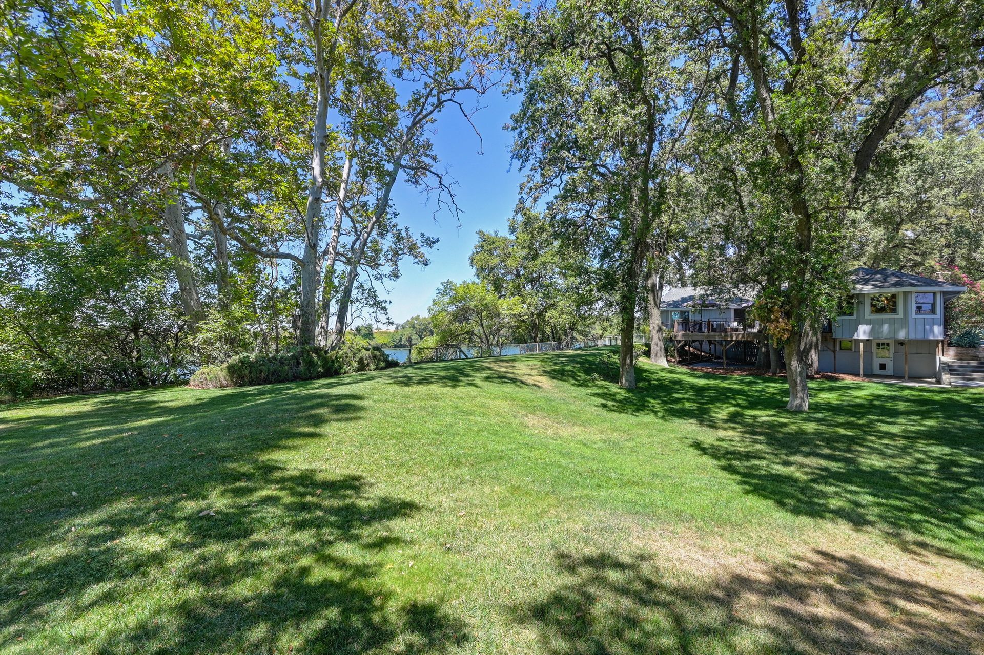 Expansive, tree-lined backyard with river views. Discover East Sacramento real estate with Rich Cazneaux.