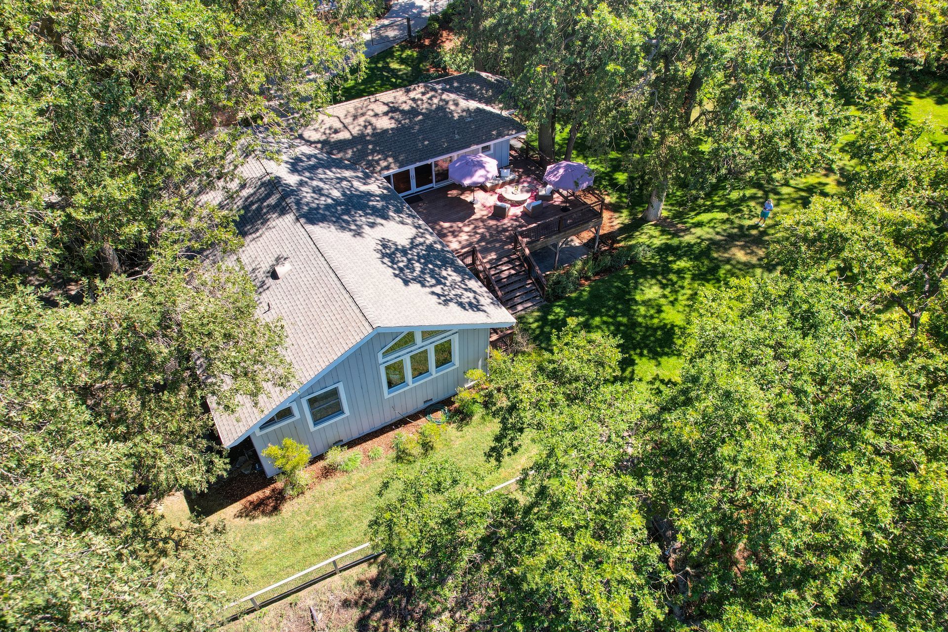 An aerial view of a home with a large deck surrounded by lush trees. Browse East Sacramento real estate with Rich Cazneaux.