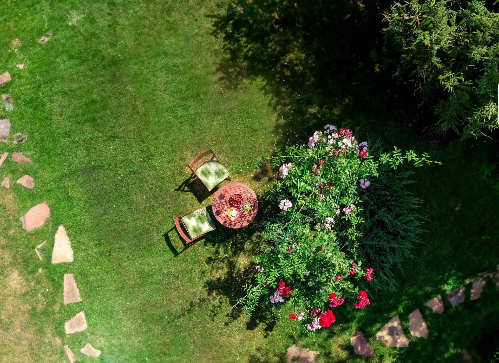 Aerial View of a Garden with a table & chairs | Search Homes for Sale in East Sacramento with Rich Cazneaux Real Estate Group