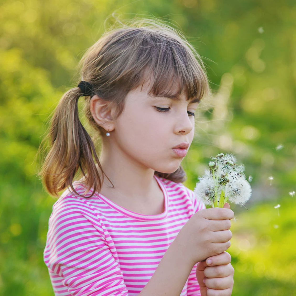 Girl with pigtails blowing on dandelion seed heads outdoors, wearing a pink striped shirt.