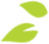 Two green leaf shapes, one above the other; bottom shape has a notch.
