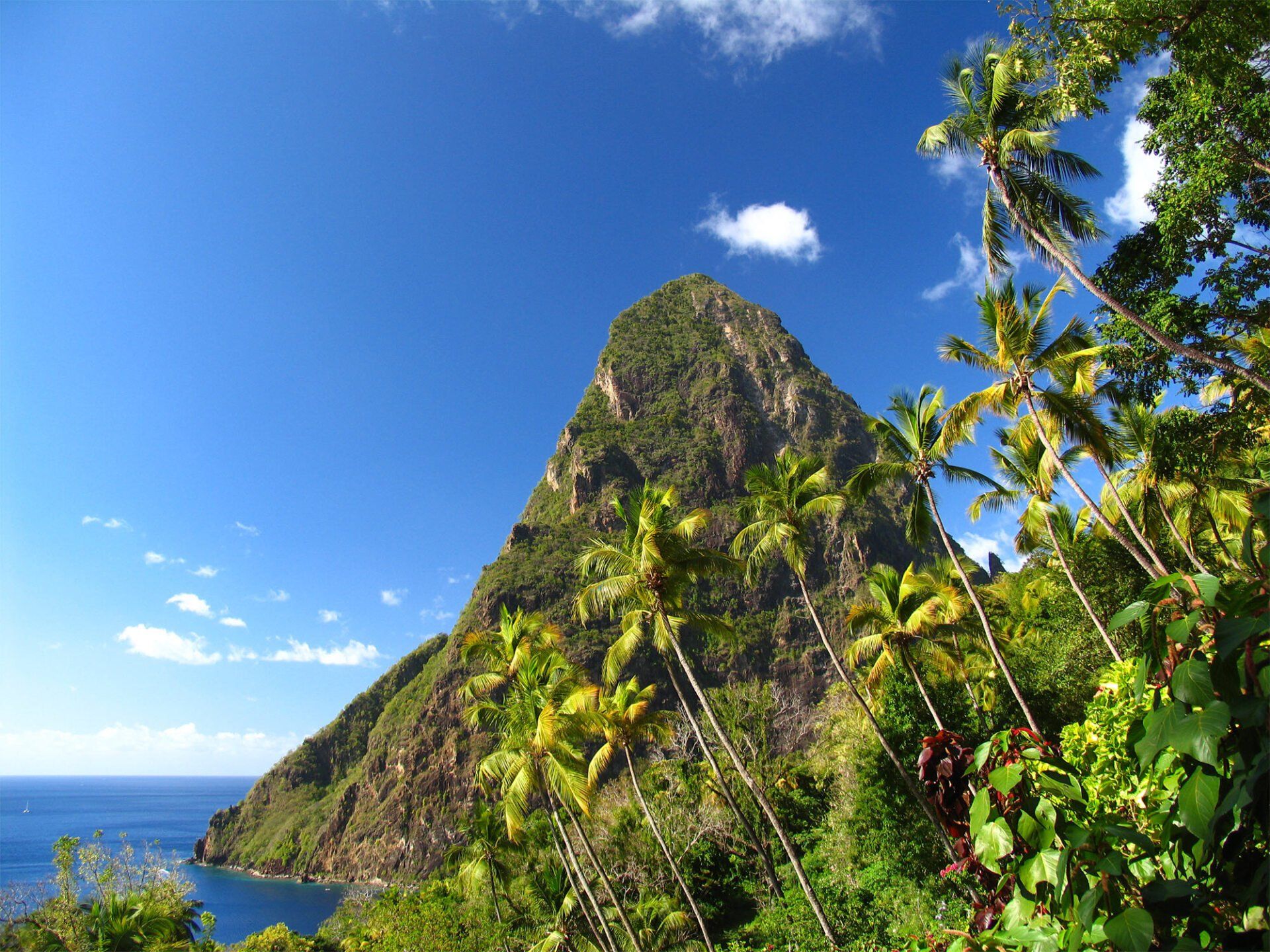 Image of Petit Pton in St Lucia