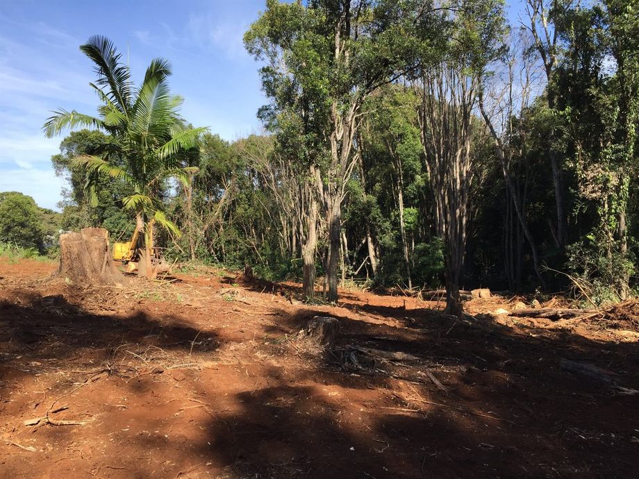 Bushland Being Cleared for Construction — Hinterland Property Services in Coopers Shoot, NSW