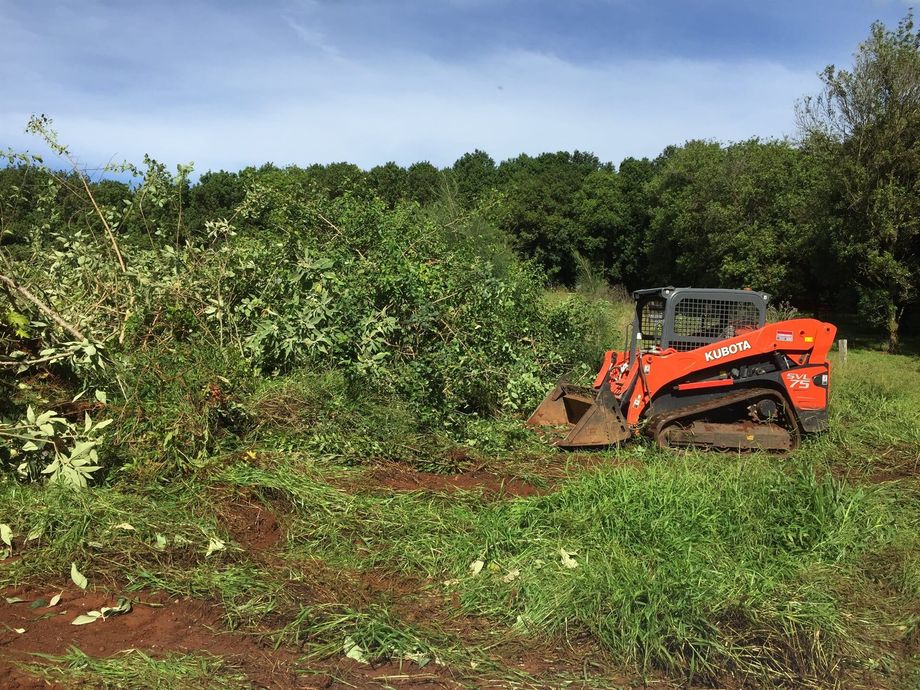 Landscaper Clearing Land With a Compact Track Loader — Hinterland Property Services in Coopers Shoot, NSW