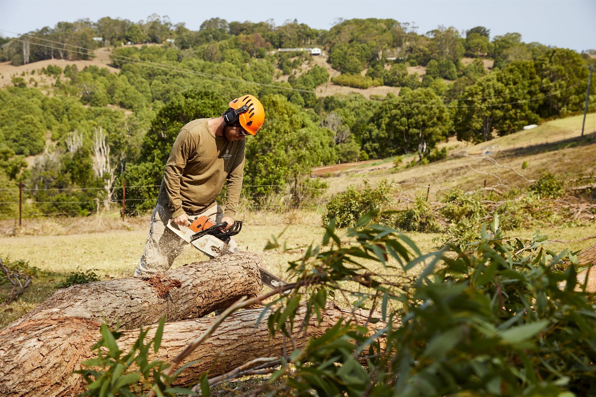 Worker Using a Chainsaw to Cut a Felled Tree Into Logs — Hinterland Property Services in Coopers Shoot, NSW