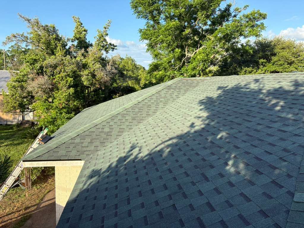Green shingled roof in a leafy neighborhood under sunlight and tree shadows