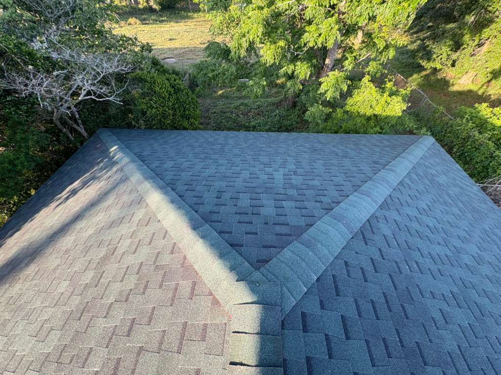 Gray shingled roof seen from above, bordered by green trees and yard beyond