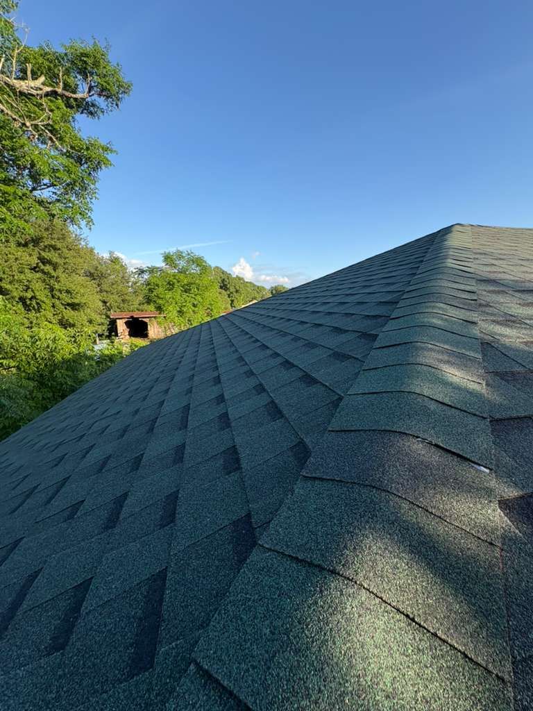 Close-up of a gray shingled roof against a blue sky and green trees