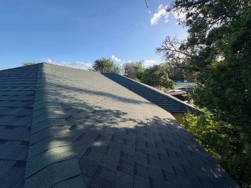 Roof shingles beside trees under a clear blue sky