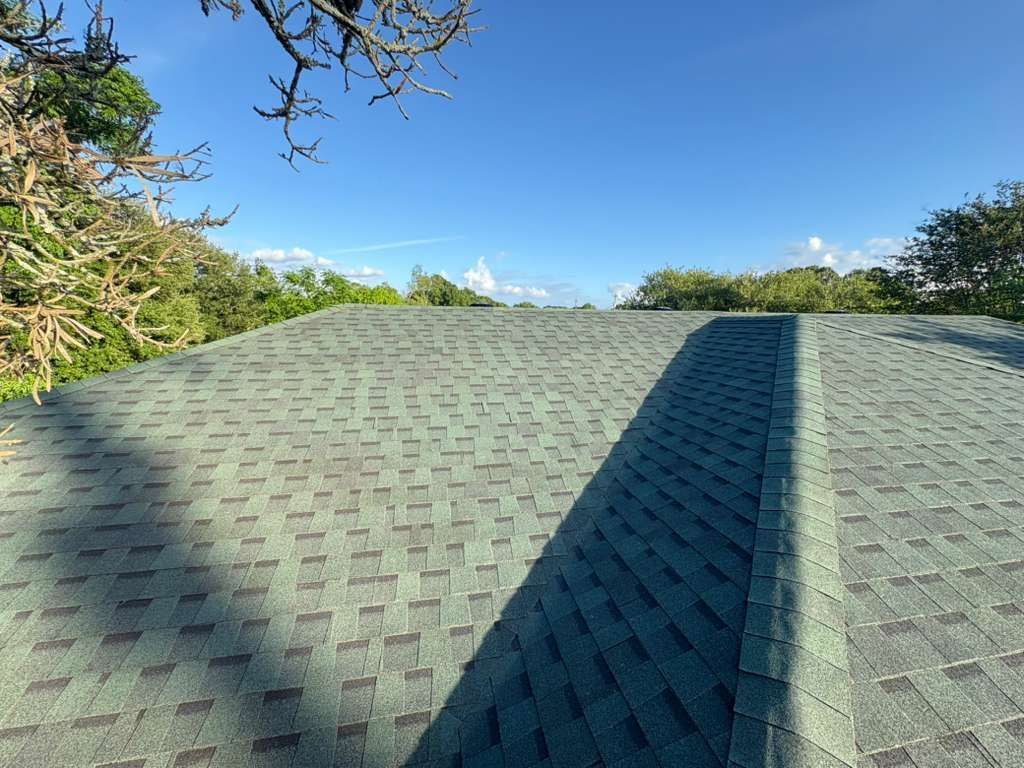 Green shingled roof under a clear blue sky with trees in the background