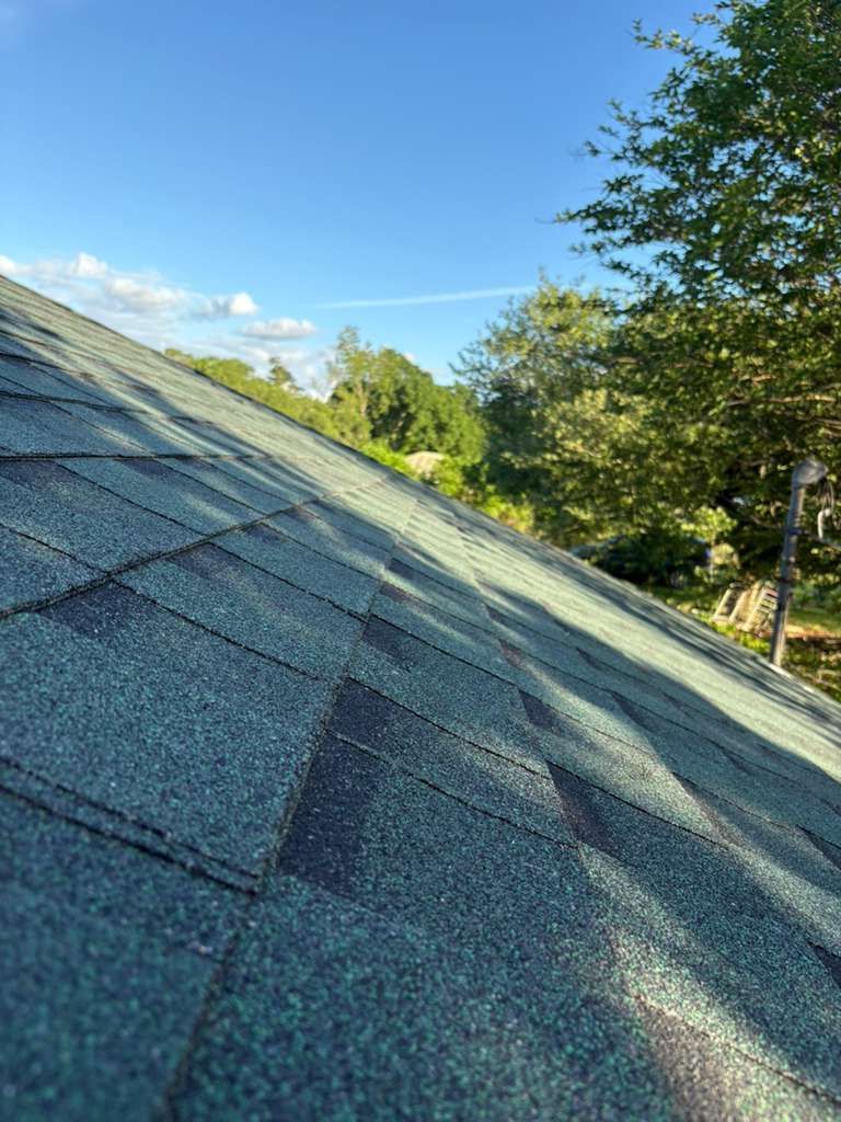 Sloped roof shingles under a clear blue sky, with trees and sunlight in the background.