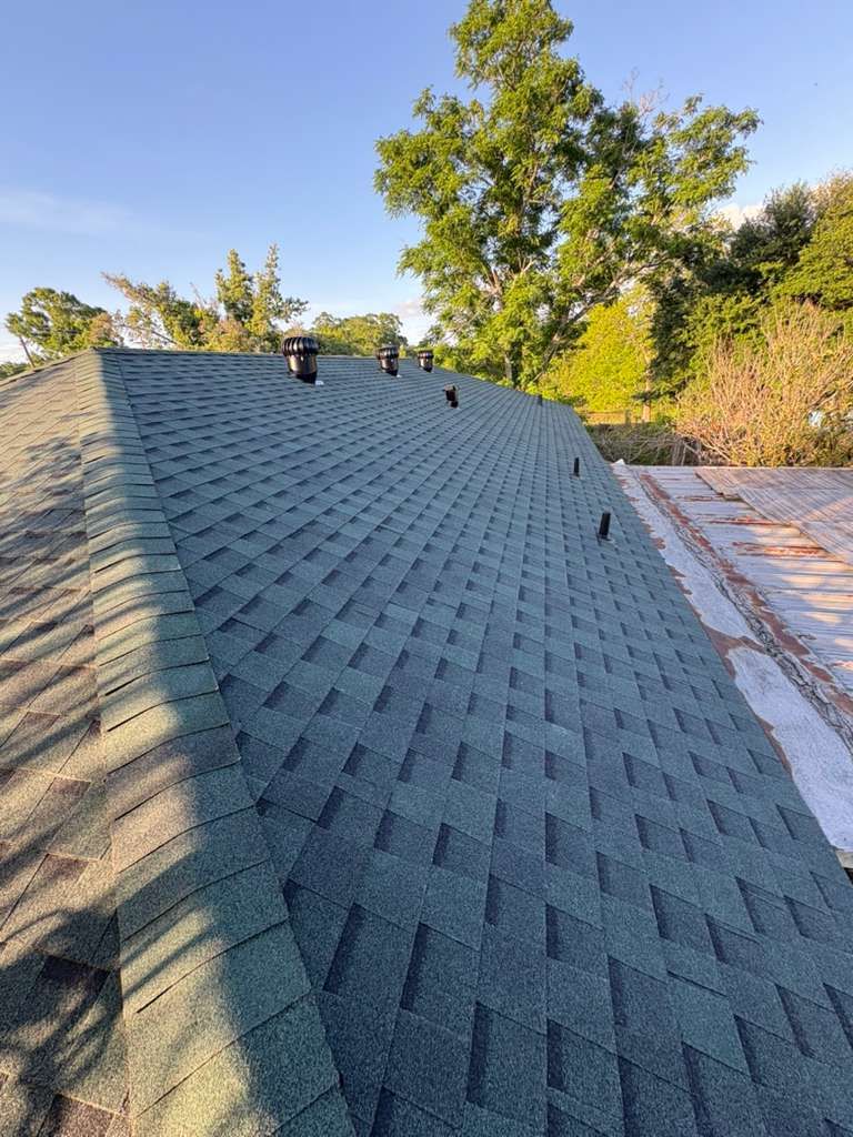 Shingled roof with vents beside trees in daylight