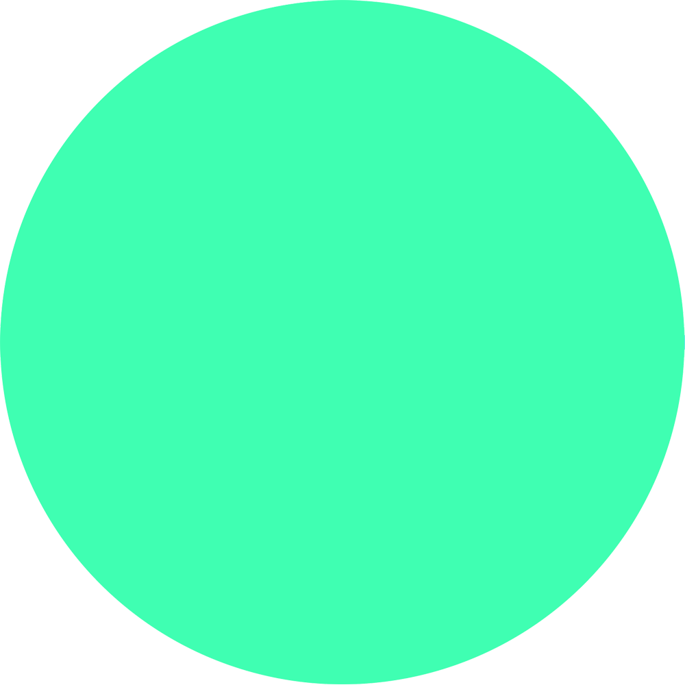 A green circle on a white background.