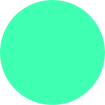 a green circle on a white background .