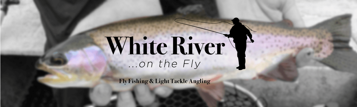 white river fly fishing rod