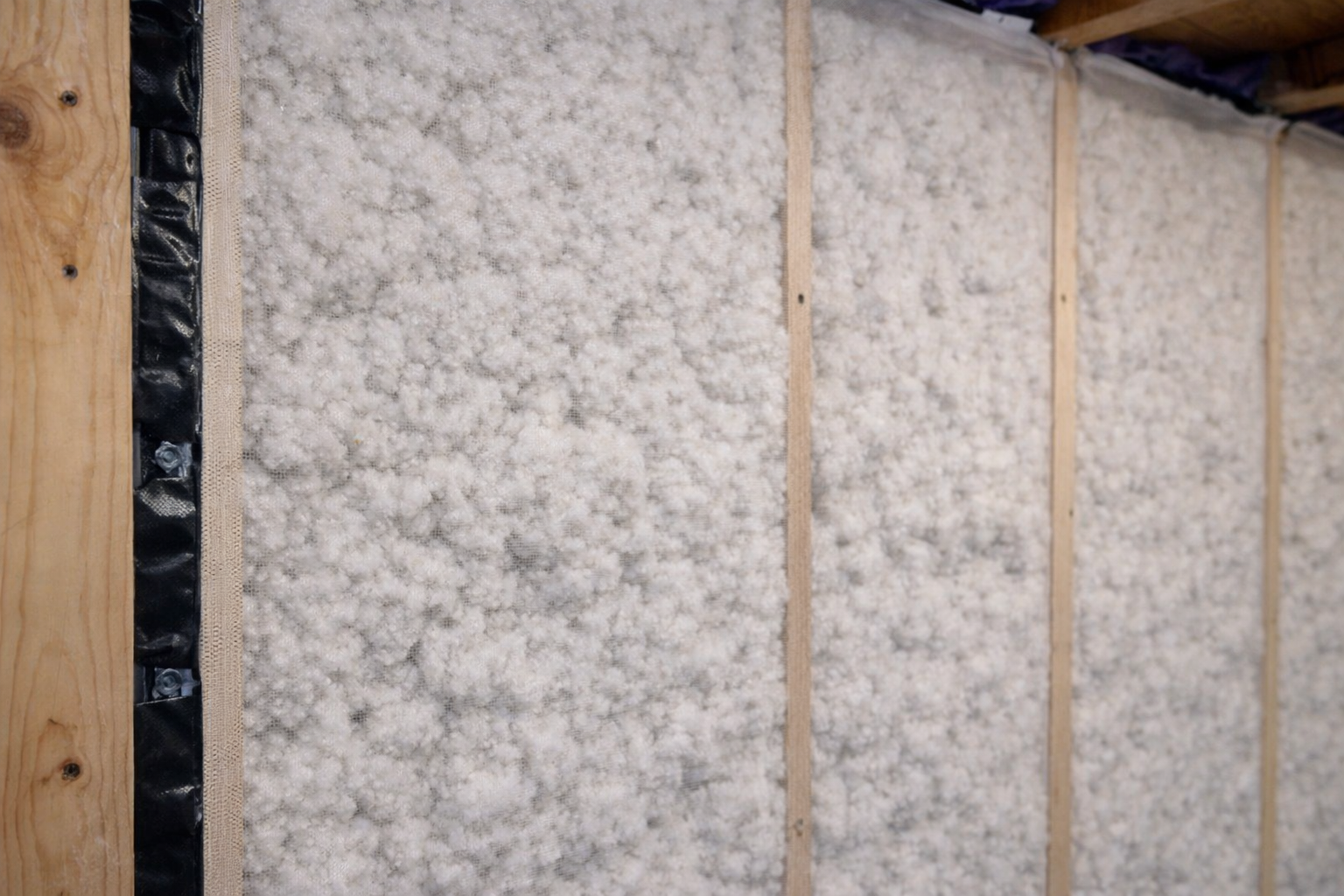 Attic insulation with mold growth, damaged wood beams, and moisture.