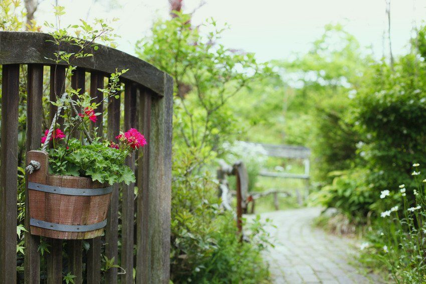 garden opened gate