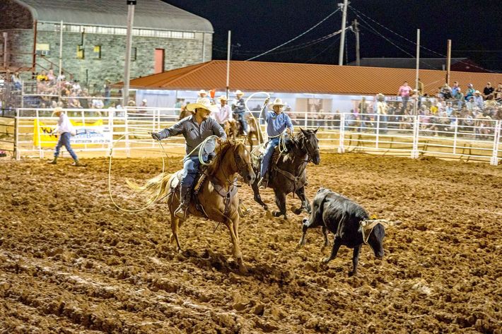 A man is riding a horse while another man is riding a bull in a rodeo arena.