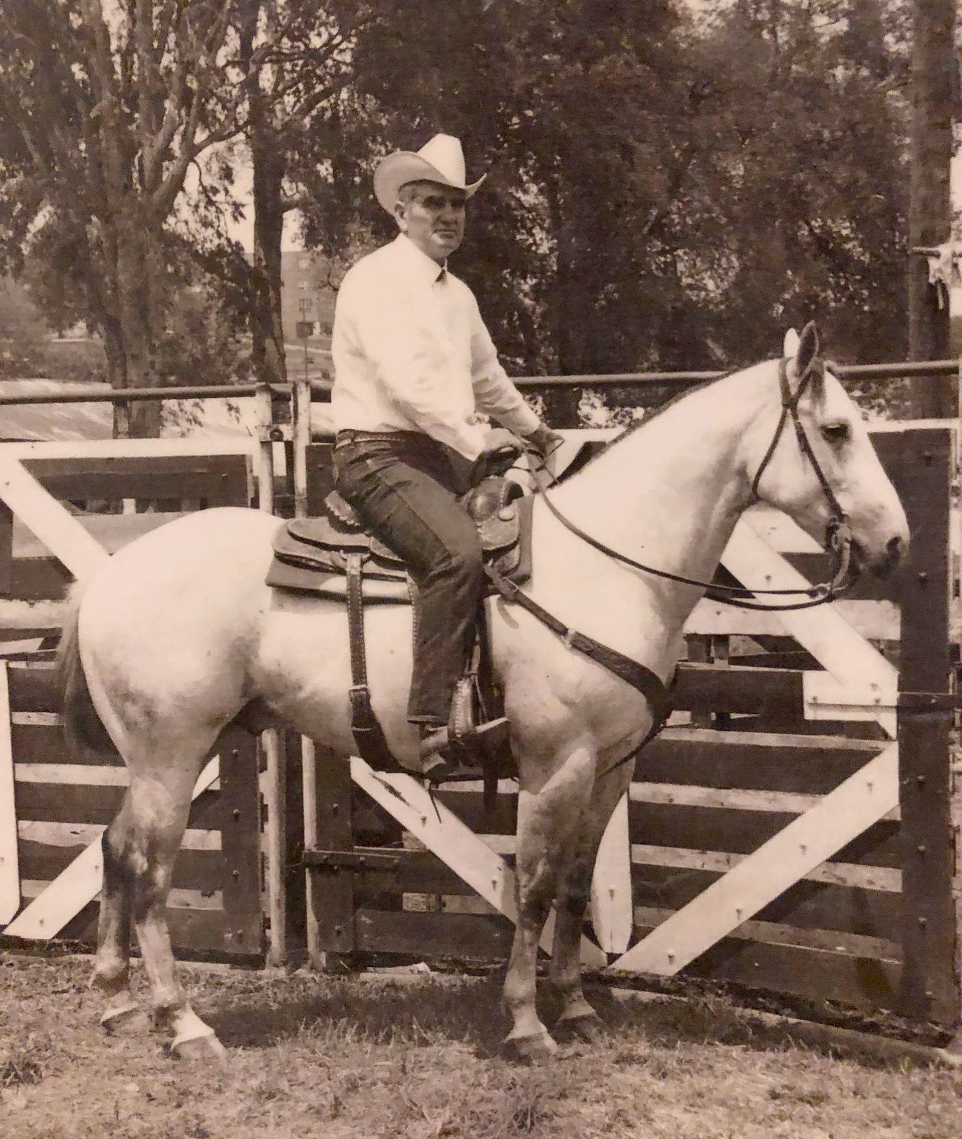 A man in a cowboy hat is riding a white horse.