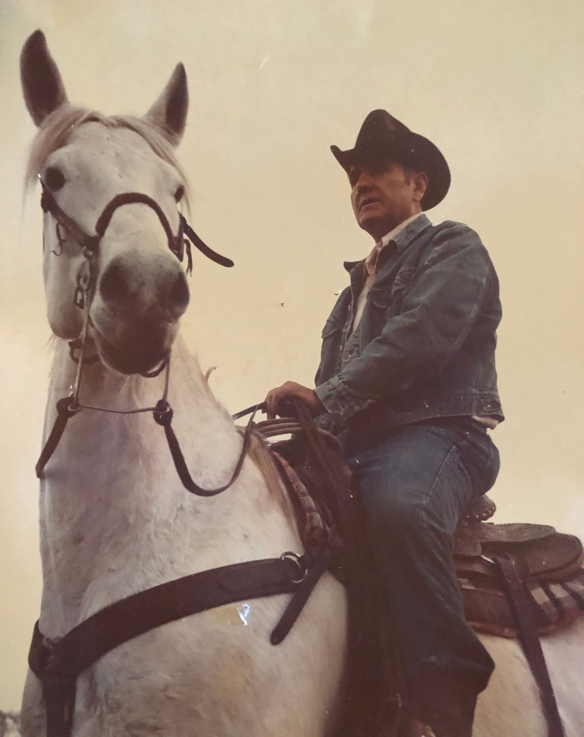 A man in a cowboy hat is riding a white horse