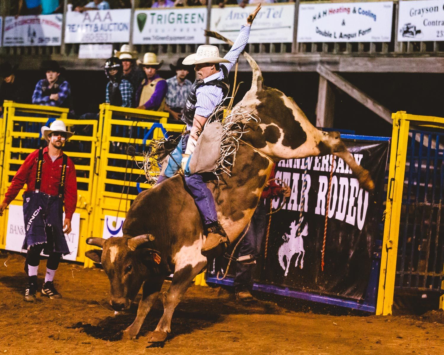 A man is riding a bull in front of a sign that says chap rodeo