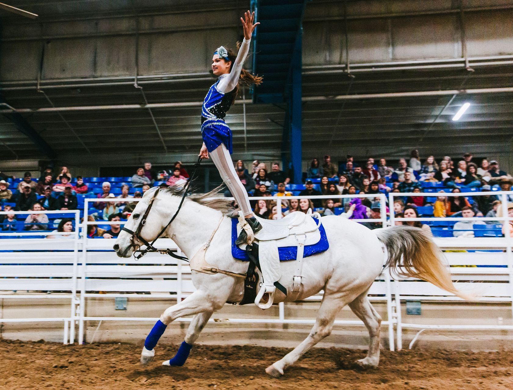 A woman is riding a white horse in a rodeo arena.