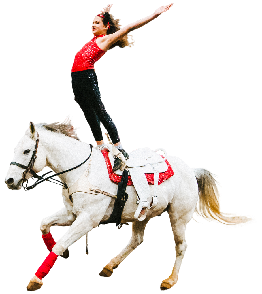 A woman in a red top is balancing on the back of a white horse.