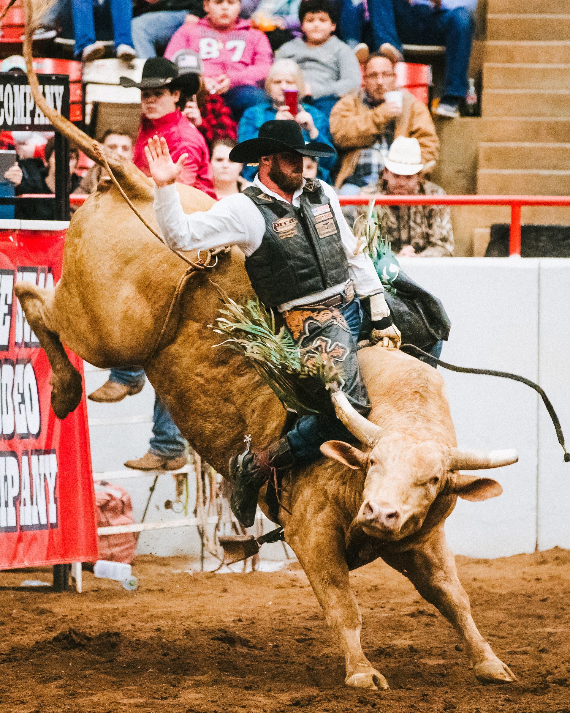 A man is riding a bull in a rodeo arena.