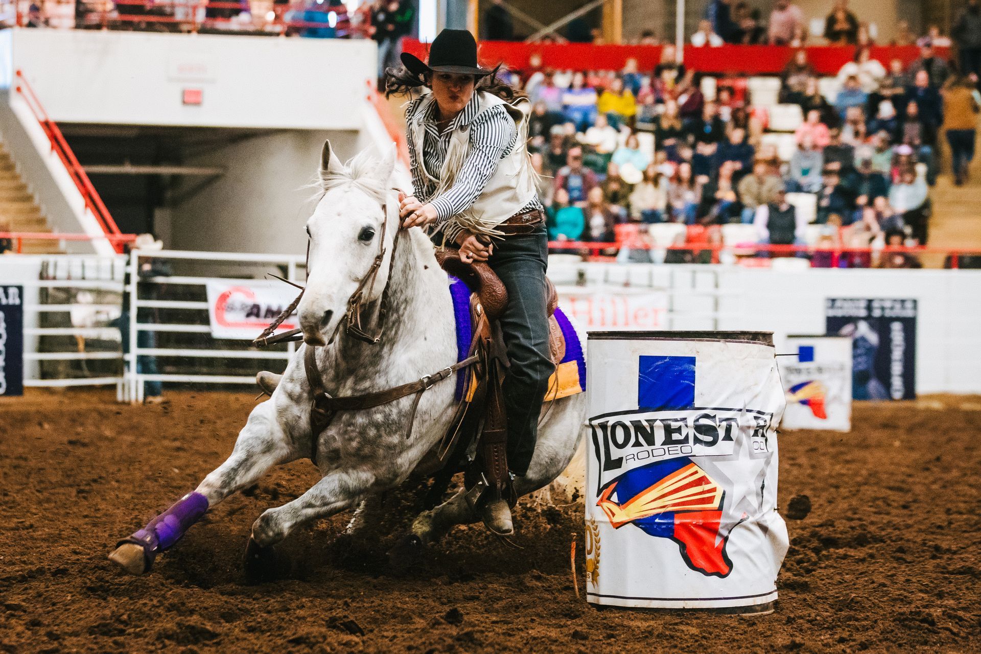 A man is riding a white horse around a barrel at a rodeo.