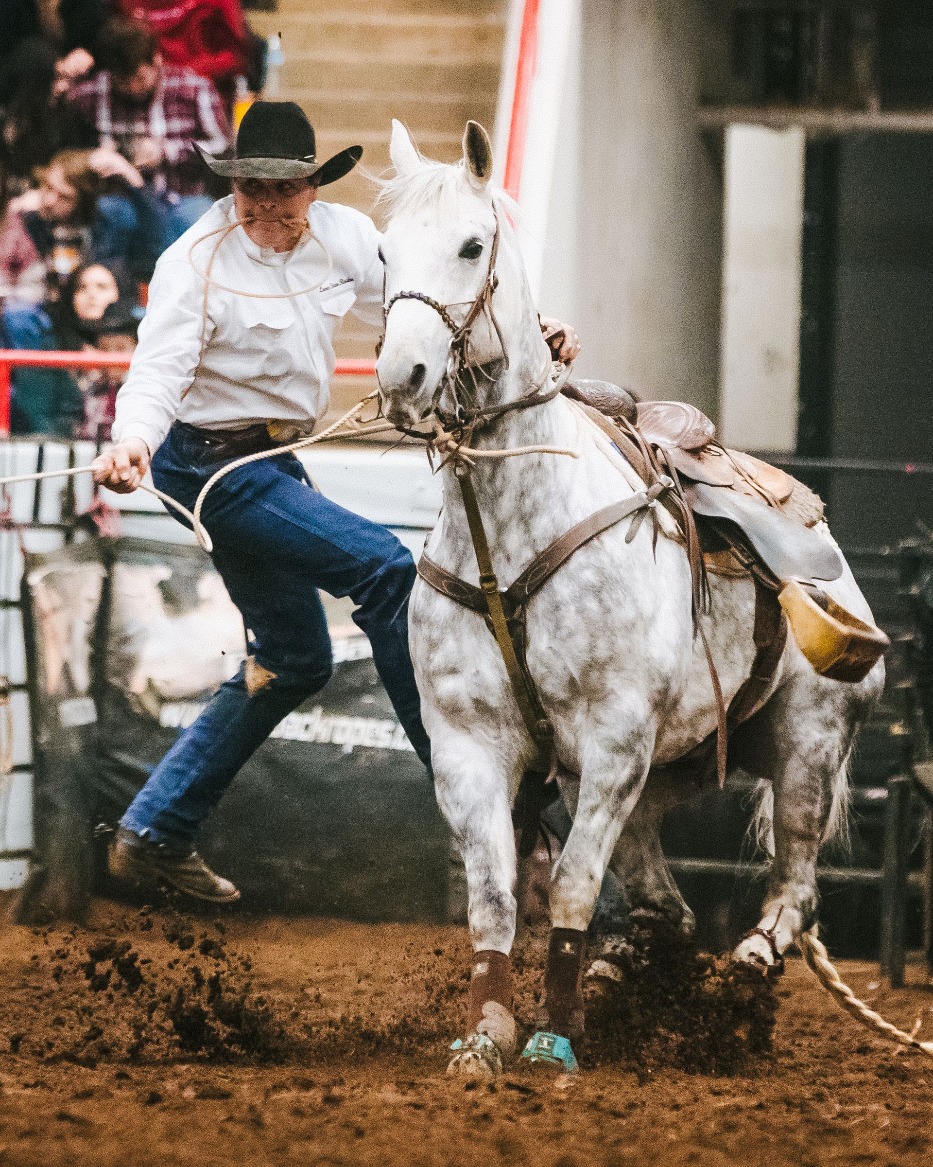 A man in a cowboy hat is riding a white horse in a rodeo.