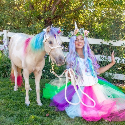 Unicorn Party Princesses – San Diego, CA – Posh Unicorn