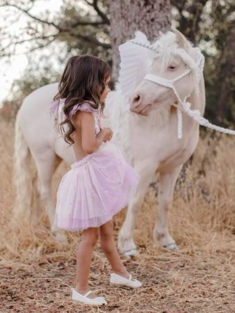 Photoshoot with Unicorn – San Diego, CA – The Posh Unicorn