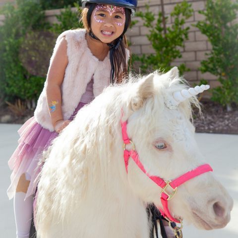 ride on unicorn birthday party san diego