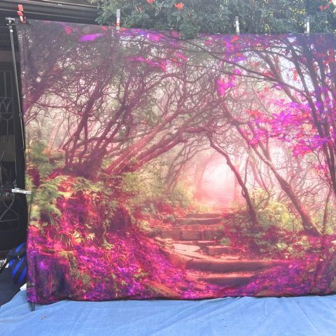 unicorn party backdrop - a unicorn paparazzi photo backdrop