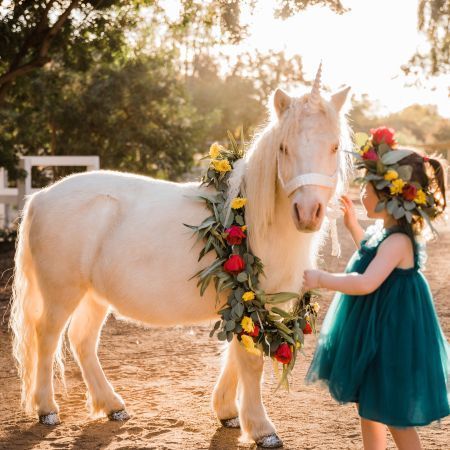 Live Posh Unicorn in San Diego - a Unicorn Photoshoot experience