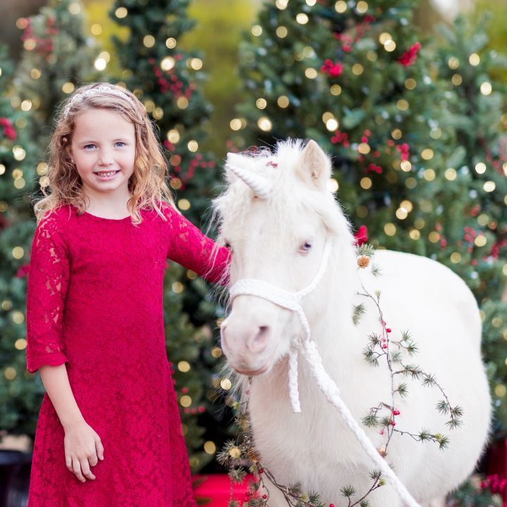 Christmas Unicorn Photoshoot San Diego