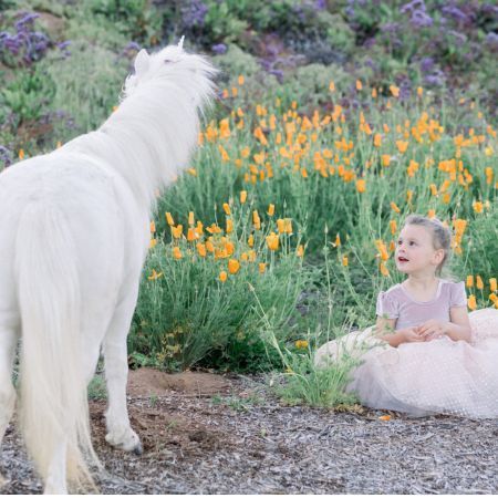 A Unicorn photoshoot in the San Diego super bloom