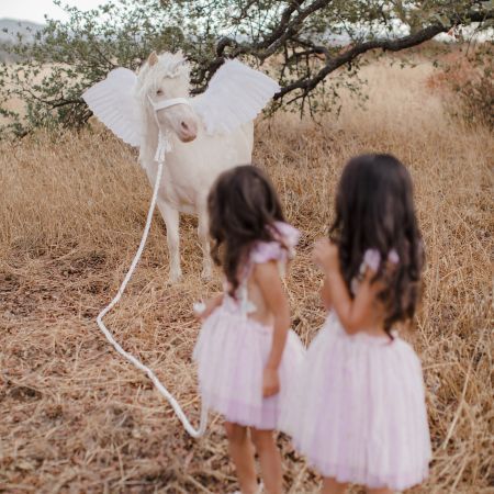 A professional Pegasus Photoshoot in san diego - photoshoot with a unicorn / alicorn / unicorn with wings