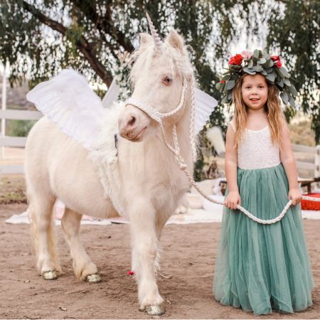 Posh Pegasus - a live Pegasus / Unicorn with Wings / Alicorn in San Diego for birthday parties and events