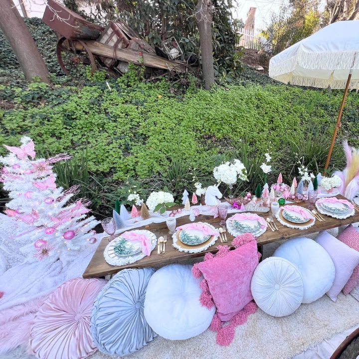 Christmas Luxury Picnic in San Diego