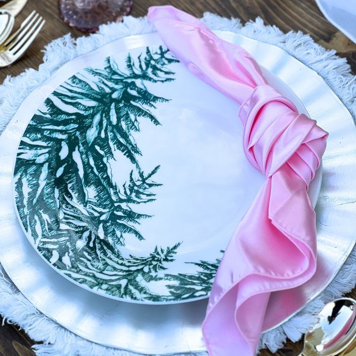 Christmas Luxury Picnic in San Diego