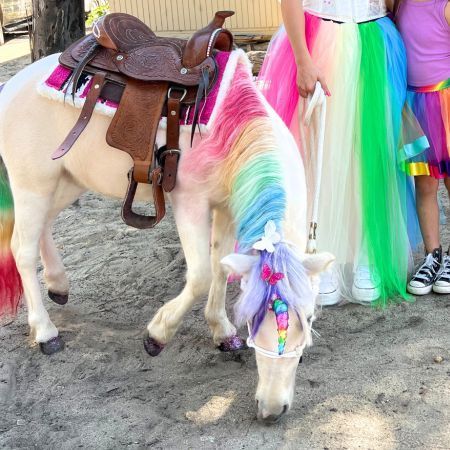 Live Rainbow Unicorn for Photoshoots and Parties in San Diego - optional Add-on to enhance your Unicorn Photoshoot Experience