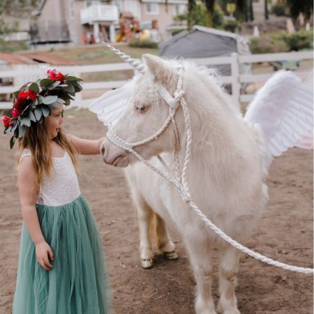 Live Posh Pegasus / Alicorn / Unicorn with Wings in San Diego