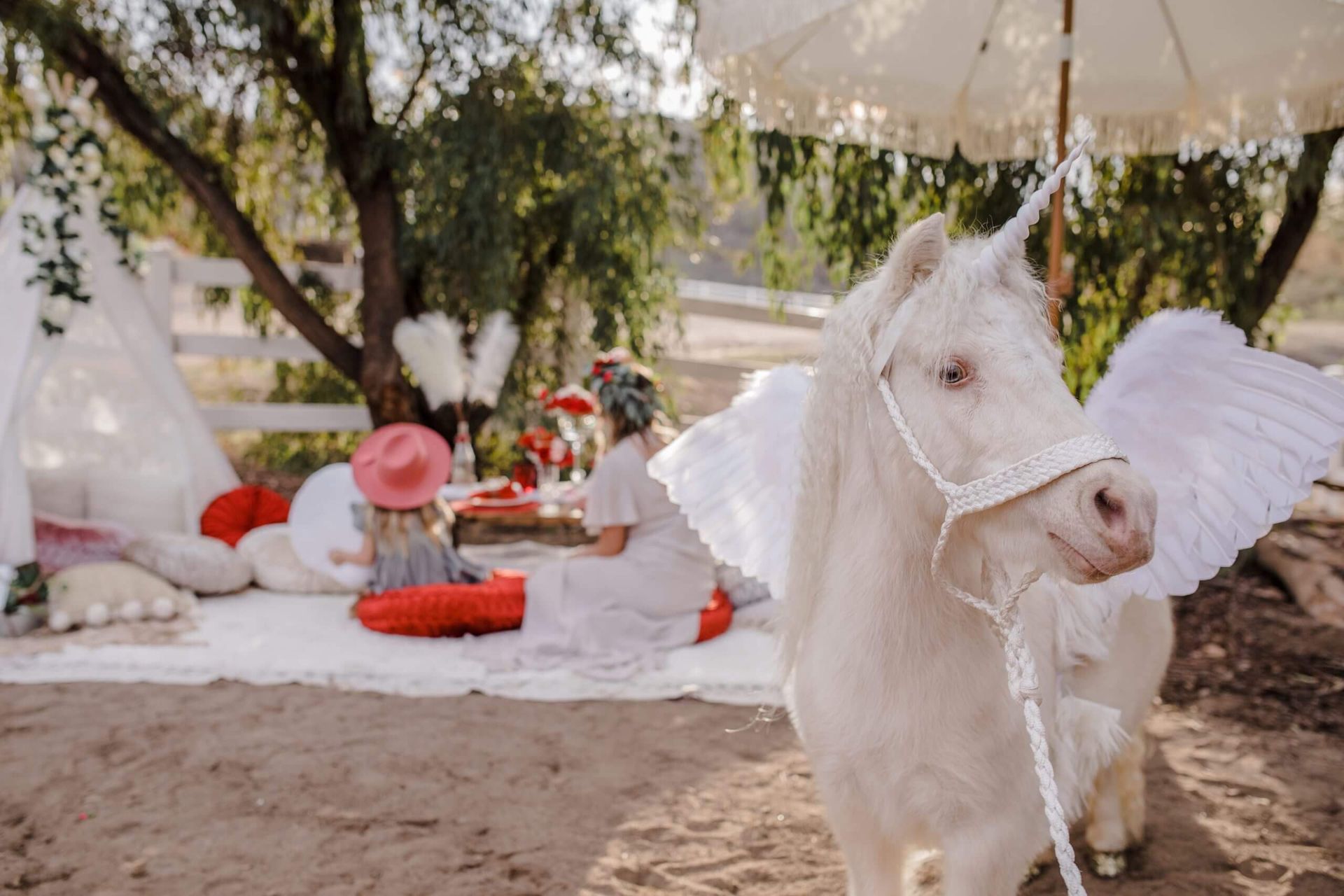 A real live Unicorn - Optional add-on to make each Posh Unicorn Luxury Picnic in San Diego unique