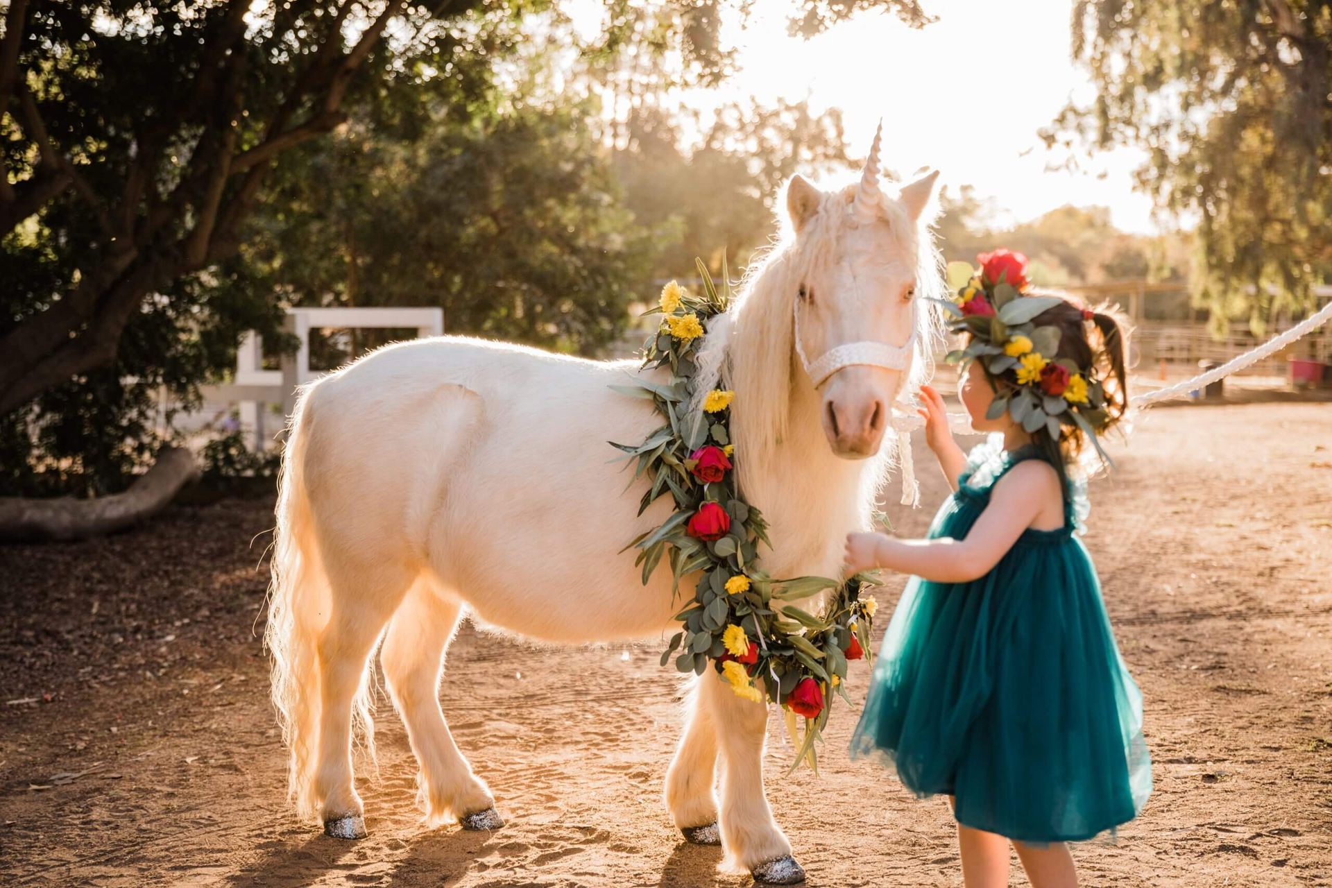 Little Girl Patting a Pony – San Diego, CA – The Posh Unicorn