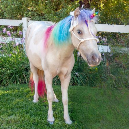 Live rainbow unicorn in san diego