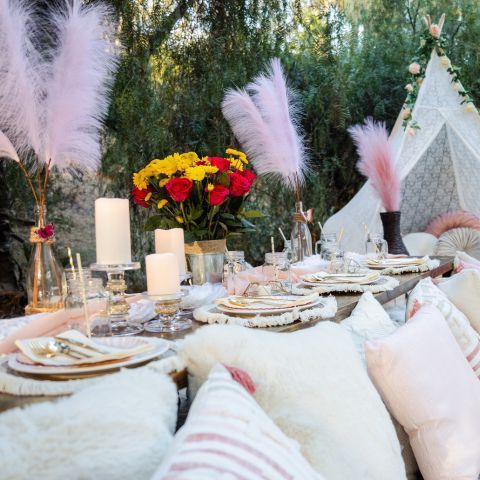 Luxury Picnic in San Diego - pink theme