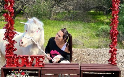 Live Unicorn Kissing Booth — San Diego, CA —The Posh Unicorn